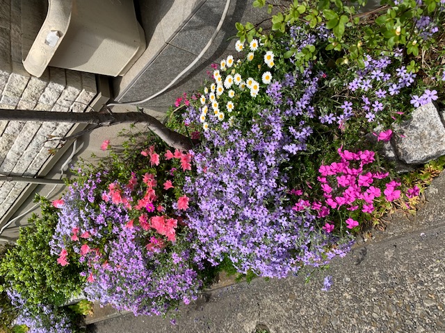 image76